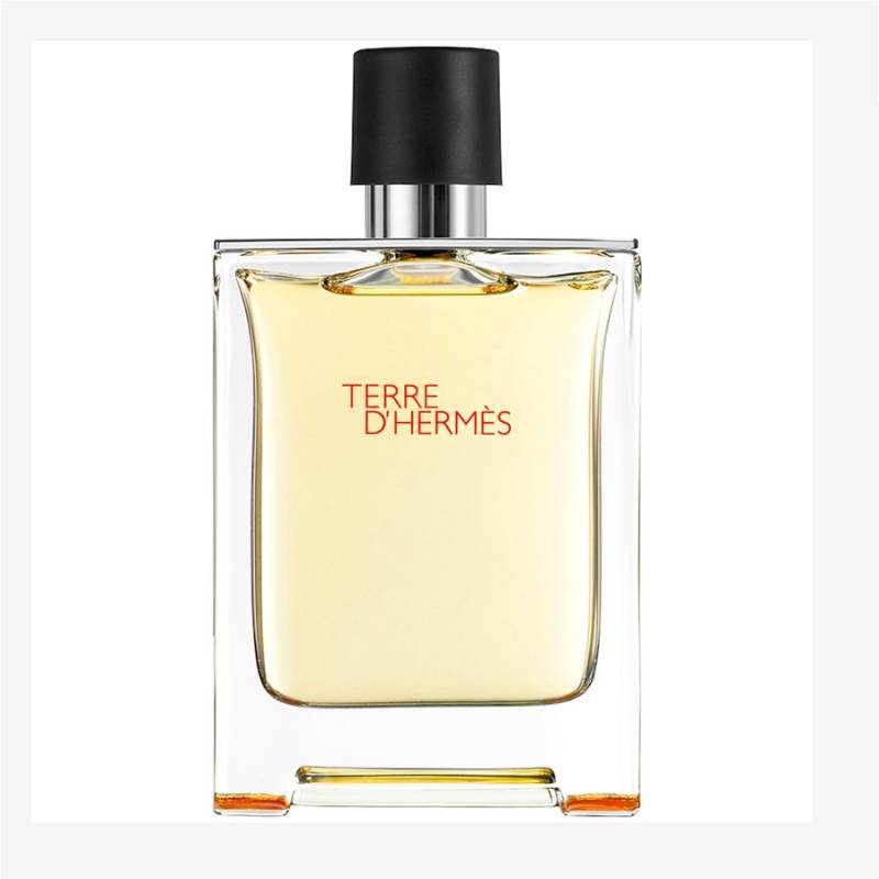 Hermes Terre D'Hermès EDT